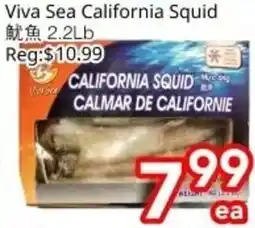 Superking Supermarket Viva Sea California Squid offer