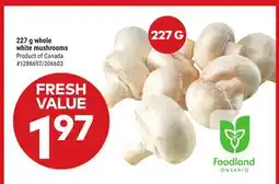 Giant Tiger 227 g whole white mushrooms offer
