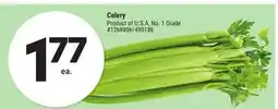 Giant Tiger Celery offer