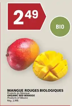 Rachelle-Bery Grocery ORGANIC RED MANGOS offer
