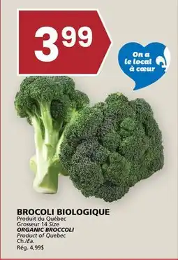 Rachelle-Bery Grocery ORGANIC BROCCOLI offer