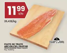 Rachelle-Bery Grocery FRESH RAINBOW TROUT FILLETS offer