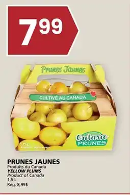 Rachelle-Bery Grocery YELLOW PLUMS offer