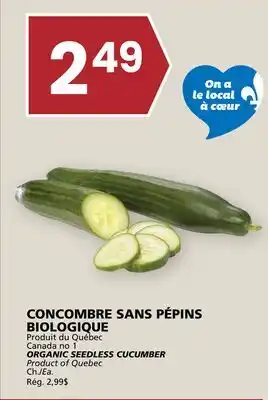 Rachelle-Bery Grocery ORGANIC SEEDLESS CUCUMBER offer