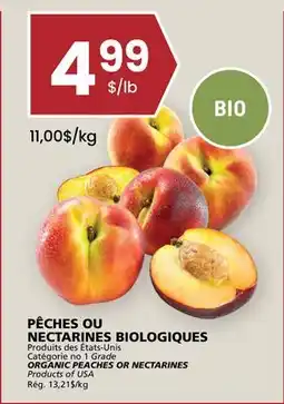 Rachelle-Bery Grocery ORGANIC PEACHES OR NECTARINES offer