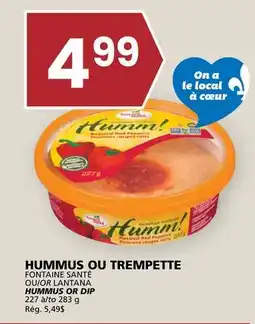 Rachelle-Bery Grocery FONTAINE SANTÉ OR LANTANA HUMMUS OR DIP offer