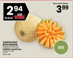 Rachelle-Bery Grocery ORGANIC CANTALOUPE offer