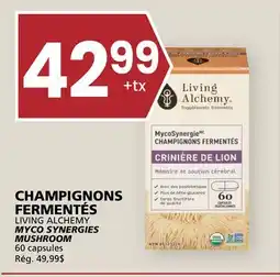 Rachelle-Bery Grocery LIVING ALCHEMY MYCO SYNERGIES MUSHROOM offer