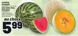 Metro CANTALOUPE BIOLOGIQUE OU MINI MELON D'EAU BIOLOGIQUE | ORGANIC CANTALOUPE OR ORGANIC MINI WATERMELON offer