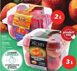 Metro PÊCHES OU NECTARINES | PEACHES OR NECTARINES offer