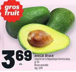 Metro AVOCAT BRUCE | BRUCE AVOCADO offer