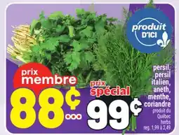 Metro PERSIL, PERSIL ITALIEN, ANETH, MENTHE, CORIANDRE | HERBS offer