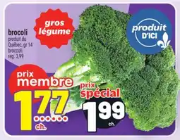 Metro BROCOLI | BROCCOLI offer