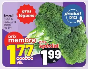 Metro BROCOLI | BROCCOLI offer