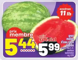 Metro GROS MELON D'EAU SANS PÉPINS | SEEDLESS WATERMELON offer