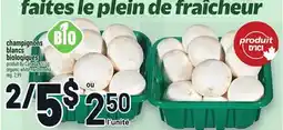 Metro CHAMPIGNONS BLANCS BIOLOGIQUES | ORGANIC WHITE MUSHROOMS offer
