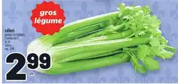 Metro CÉLERI | CELERY offer