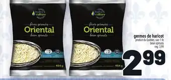 Metro GERMES DE HARICOT | BEAN SPROUTS offer