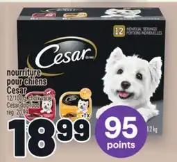 Metro NOURRITURE POUR CHIENS CESAR | CESAR DOG FOOD offer