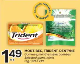 Brunet MONT-BEC, TRIDENT, DENTYNE Gommes, menthes sélectionnées offer
