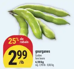 Marché Adonis GOURGANES | FAVA BEANS offer