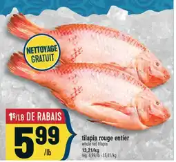 Marché Adonis TILAPIA ROUGE ENTIER | WHOLE RED TILAPIA offer