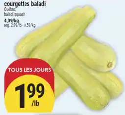 Marché Adonis COURGETTES BALADI | BALADI SQUASH offer