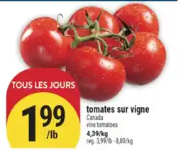 Marché Adonis TOMATES SUR VIGNE | VINE TOMATOES offer