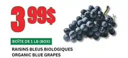 Marches Tau RAISINS BLEUS BIOLOGIQUES offer
