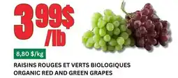 Marches Tau RAISINS ROUGES ET VERTS BIOLOGIQUES offer