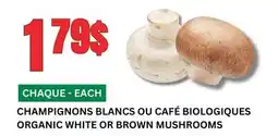 Marches Tau CHAMPIGNONS BLANCS OU CAFÉ BIOLOGIQUES offer