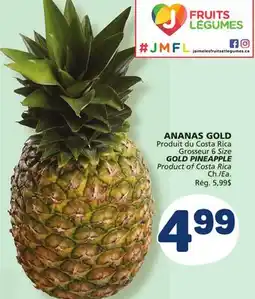 Marché Bonichoix ANANAS GOLD offer