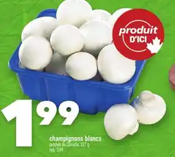 Marche Ami champignons blancs offer