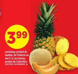Maxi CANTALOUP OU ANANAS offer