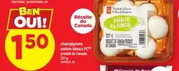 Maxi CHAMPIGNONS ENTIERS BLANCS PC offer