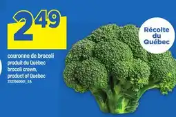 Maxi COURONNE DE BROCOLI | BROCOLI CROWN offer