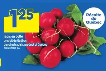 Maxi RADIS EN BOTTE | BUNCHED RADISH offer