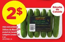 Maxi MINI CONCOMBRES DÉLICES DU MARCHÉ, 6 UN offer
