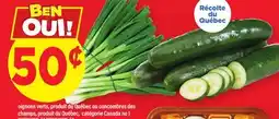 Maxi OIGNONS OU CONCOMBRES DES CHAMPS offer