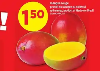 Maxi MANGUE ROUGE | RED MANGO offer