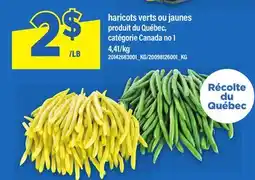 Maxi HARICOTS VERTS OU JAUNES offer