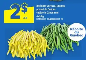 Maxi HARICOTS VERTS OU JAUNES offer
