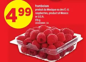 Maxi FRAMBOISES | RASPBERRIES offer