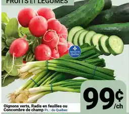 Pasquier Oignons verts, Radis en feuilles ou Concombre de champ offer