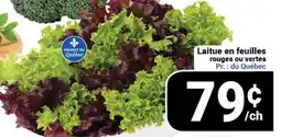 Pasquier Laitue en feuilles rouges ou vertes offer