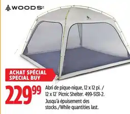 Canadian Tire WOODS 12 x 12´ Picnic Shelter offer