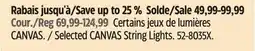 Canadian Tire Selected CANVAS String Lights offer