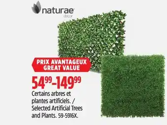 Canadian Tire Selected Artificial Trees and Plants offer