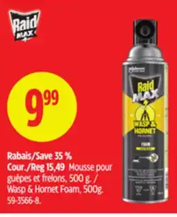 Canadian Tire Wasp & Hornet Foam, 500g offer