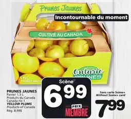 Marches Tradition YELLOW PLUMS offer